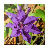 CLEMATIS TEGELTJE (Voorkant)