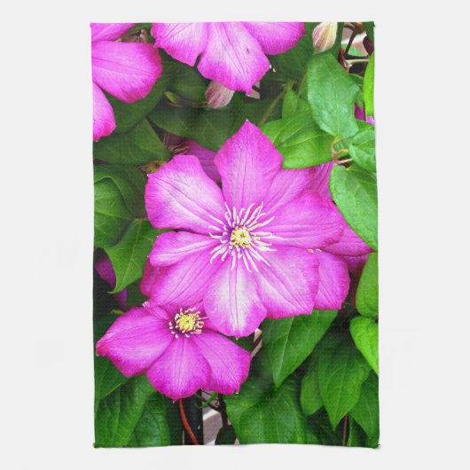 Clematis Theedoek (Verticaal)