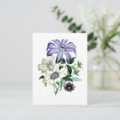 Clematis van Jane Loudon Briefkaart (Staand voorkant)