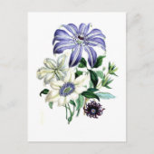 Clematis van Jane Loudon Briefkaart (Voorkant)