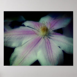 Clematis verdampt petals dicht bij elkaar poster