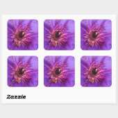 CLEMATIS VIERKANTE STICKER (Vel)