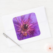 CLEMATIS VIERKANTE STICKER (Envelop)