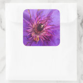 CLEMATIS VIERKANTE STICKER (Tas)