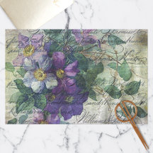 Clematis Vine Handschrift Ephemera Ontkoppeling