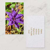 CLEMATIS VISITEKAARTJE (Voorkant / Achterkant)