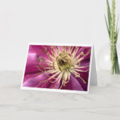 Clematis - Wenskaart Kaart (Voorkant)