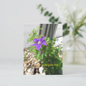 Clematis wijnstok paarse bloemen Spiegeland Briefk Briefkaart (Staand voorkant)