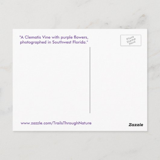 Clematis wijnstok paarse bloemen Spiegeland Briefk Briefkaart (Achterkant)