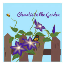 Clematis Wingerd in de Tuin 