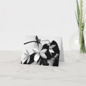 Clematissen in Zwart-wit Notecard Kaart (Voorkant)