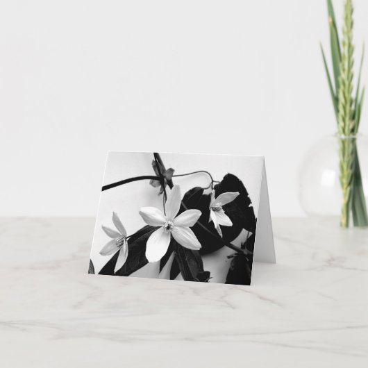 Clematissen in Zwart-wit Notecard Kaart (Voorkant)