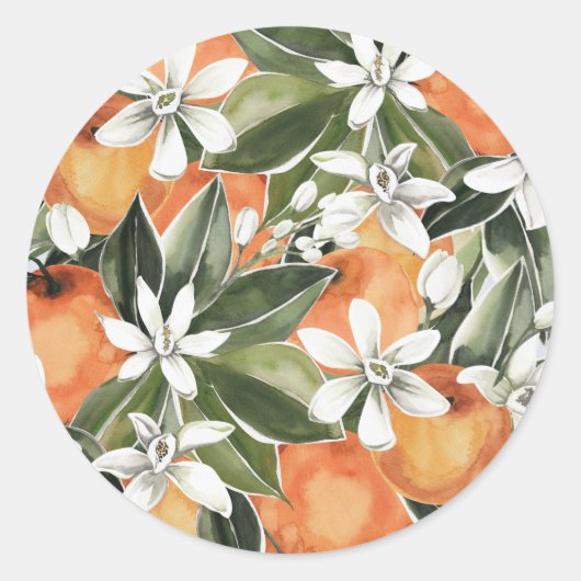 Clementine Baby shower envelop afdichting Ronde Sticker (Voorkant)