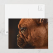 Clementine Briefkaart (Voorkant / Achterkant)