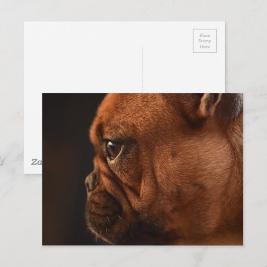 Clementine Briefkaart (Voorkant / Achterkant)