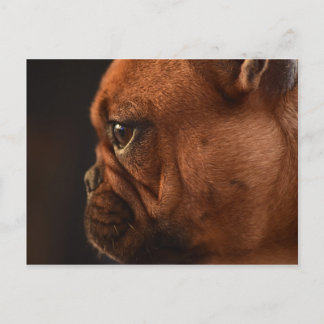 Clementine Briefkaart