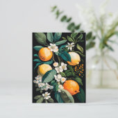 Clementine Mandarine Feestdagenkaart (Staand voorkant)