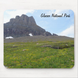 Clements Mountain - Glacier National Park Muismat