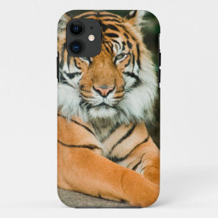 Clemson Tiger Football Cell Phone cases en Hoesjes