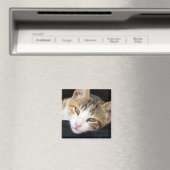 Cleo Cat Magnet (Insitu (Vaatwasser))