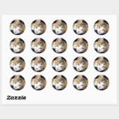Cleo Stickers (Vel)