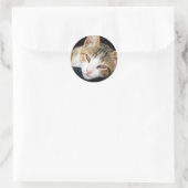 Cleo Stickers (Tas)