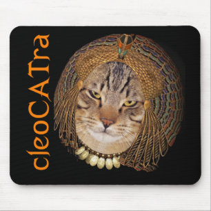 CleoCATra Queen of the Guile Muismat
