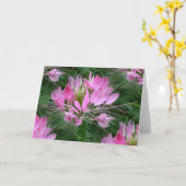 Cleome Kaart (Gele Bloem)