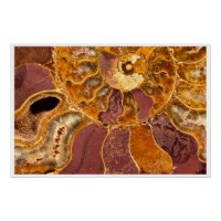 Cleoniceras Ammoniet Fossiel Wandkunst Natuurprint
