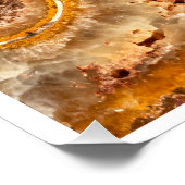 Cleoniceras Ammonite Fossil Wall Art Nature Print Perfect Poster (Hoek)