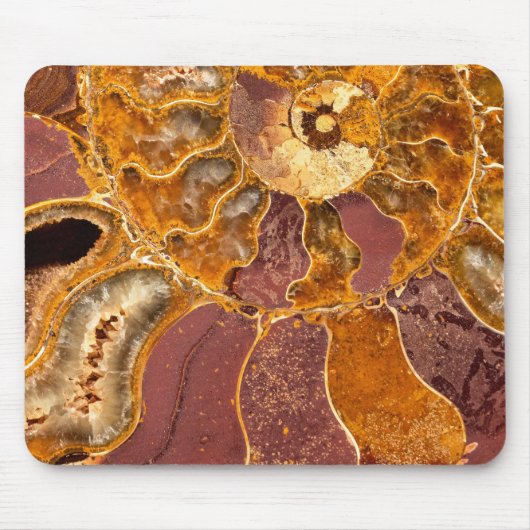 Cleoniceras Muismat (Voorkant)