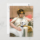 Cleopatra en witte Whippet Briefkaart (Voorkant / Achterkant)