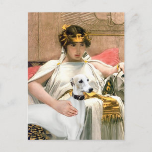 Cleopatra en witte Whippet Briefkaart
