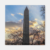 Cleopatra’s Needle/Obelisk in Central Park Magneet (Voorkant)