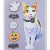 Cleopatra's Halloween Cookies Sticker (Voorkant)