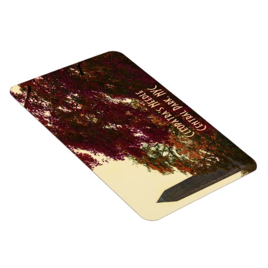 Cleopatra's Needle, Central Park, NYC Magneet (Rechterzijde)