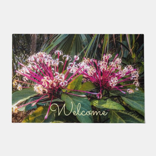 Clerodendrum Starburst Flowers Deuren Mat (Voorkant)