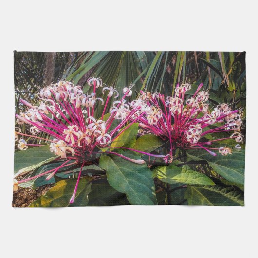 Clerodendrum Starburst Flowers Kitchen Towels Theedoek (Horizontaal)