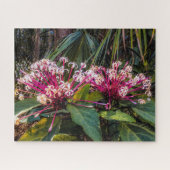 Clerodendrum Starburst Flowers Puzzle Legpuzzel (Horizontaal)
