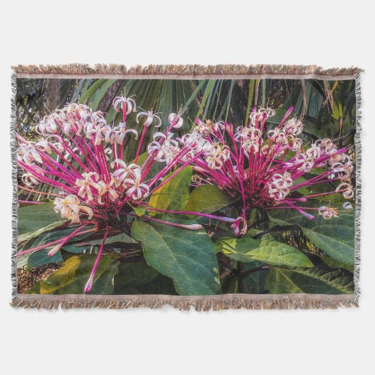 Clerodendrum Starburst Flowers Throw Blanket Deken (Voorkant)