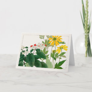 Clerodendrum thomsoniae, Rudbeckia, Tanigami Konan Kaart