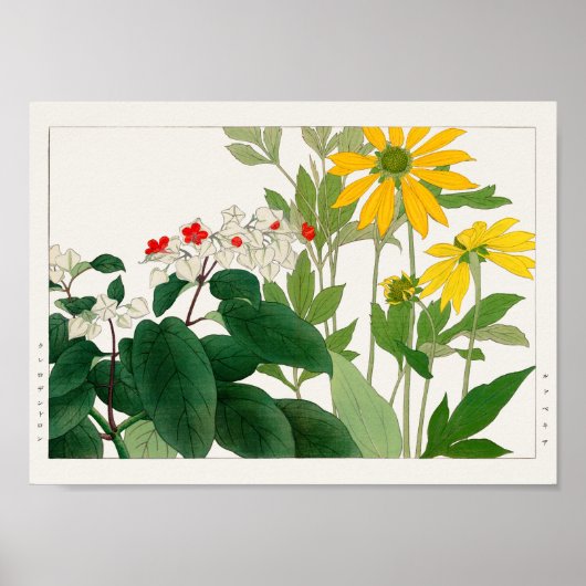 Clerodendrum thomsoniae, Rudbeckia, Tanigami Konan Poster (Voorkant)