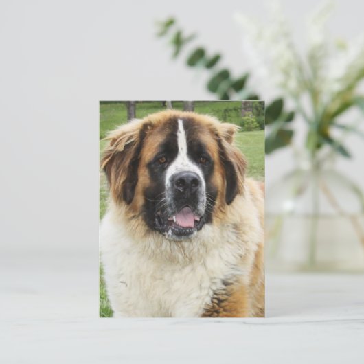 Cletus - Saint Bernard Briefkaart (Staand voorkant)