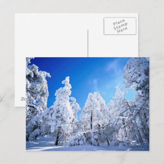 Cleveland National Forest Briefkaart (Voorkant / Achterkant)