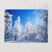 Cleveland National Forest Briefkaart (Voorkant)