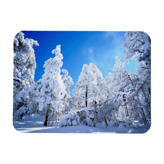 Cleveland National Forest Magneet (Horizontaal)