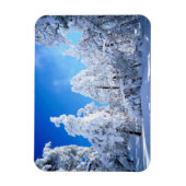 Cleveland National Forest Magneet (Verticaal)