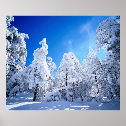 Cleveland National Forest Poster (Voorkant)