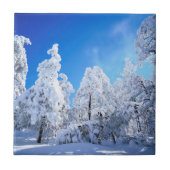 Cleveland National Forest Tegeltje (Voorkant)