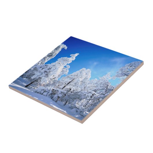 Cleveland National Forest Tegeltje (Zijkant)